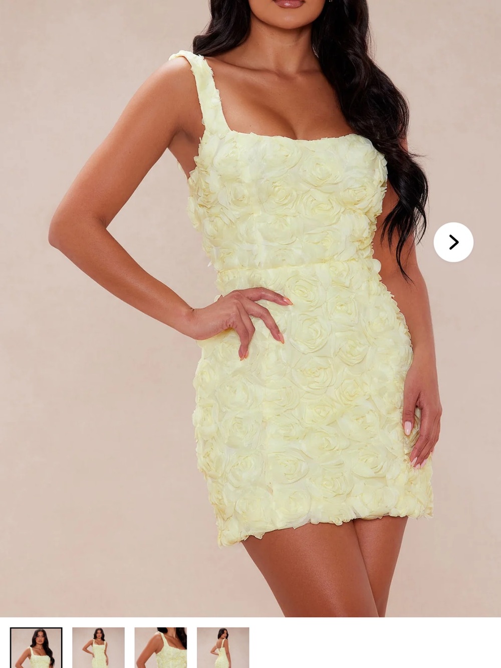 Fashion nova Nayeli Floral Applique A-Line Mini Dress xs